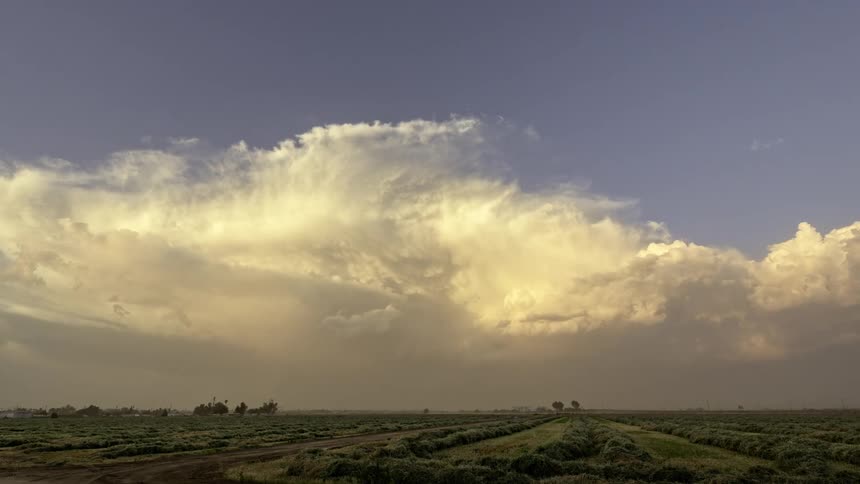 A landscape of low vegetation and a huge cloud in the sky moving quickly with the strong wind