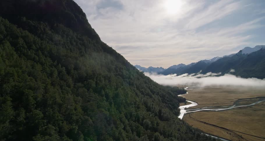 An aerial view of a misty forest reserve