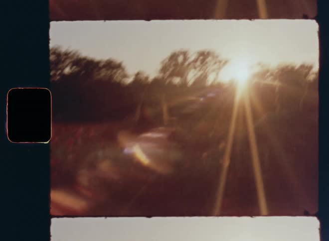 Shaky Super 8 mm film footage of middle-aged man and woman in their 30s holding hands and running in a flowery garden or field of poppy flowers then dancing together and embracing each other as a loving couple outdoors in nature