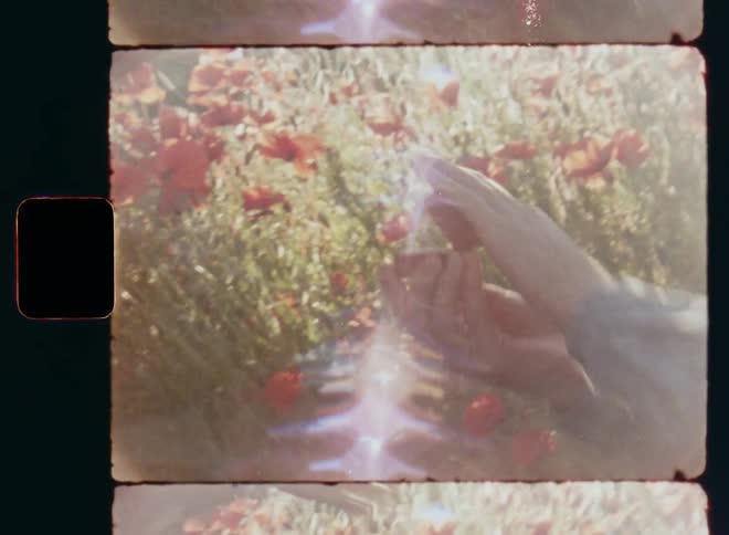 Handheld dynamic 8mm film footage of a kneeling man showing a brunette woman an engagement ring with diamonds and then he jumps up and they embrace and hug in a field of poppies after a declaration of love in a very happy and romantic moment
