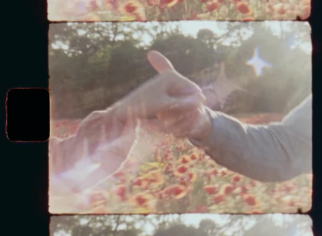 Young man and woman hold hands in a classic aristocratic and noble way while walking together in a flower garden with colourful and vibrant red poppies at mid-day in bright sunshine during a romantic flirt while falling in love on a sunny spring day