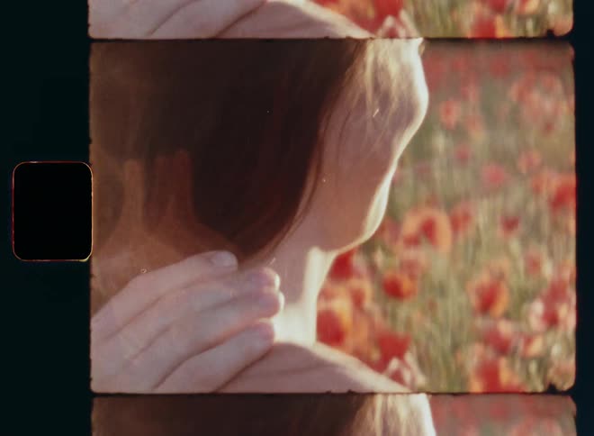 A male hand of a young man caressing the head shoulders and back of woman with brown hair in a dress while standing in a field filled with red roses or wild poppy flowers as they enjoy the togetherness while being in love on 8mm