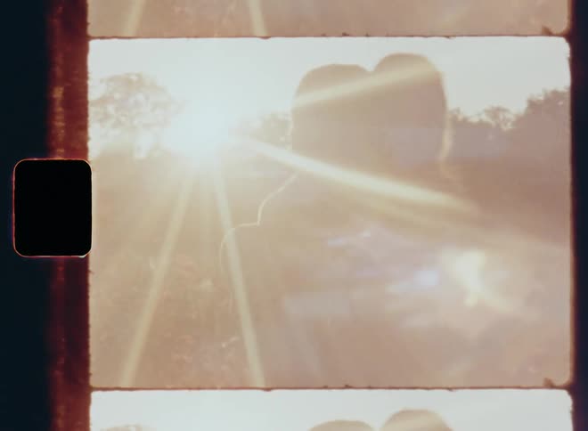 Couple consisting of brunette woman in red dress and young man with beard and gray shirt sharing a huge hug and laugh in a flower garden as she jumps into his arms and he spins her around expressing his love as the sun sets on Super 8mm film