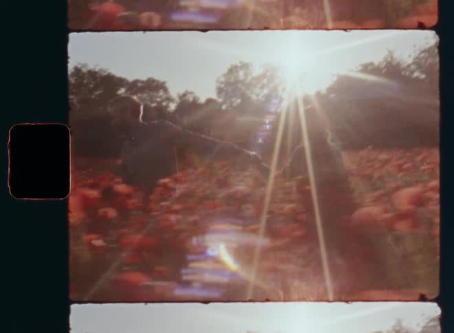 Handheld dynamic Super 8mm film footage of young man and brunette woman in red dress walking through the field of poppies at midday while holding hands on a romantic Valentine’s Day date while being in love