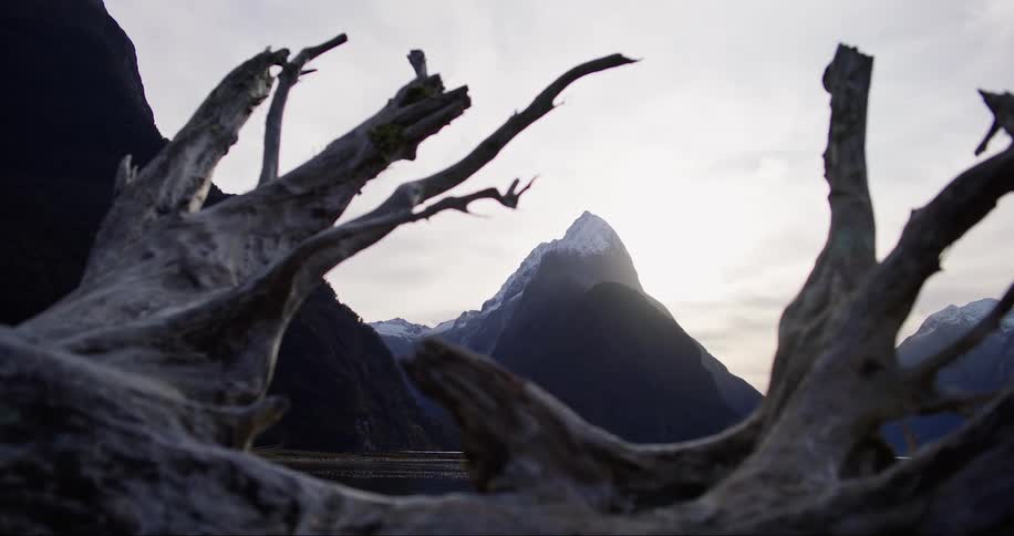Landscape of rugged mountain seen from behind a fallen tree