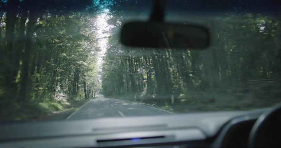Car driving on a road next to a forest during day time