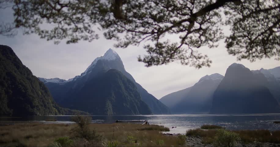 A tree branch obscures a sky over snow covered mountain peaks moves away unveiling a beachside lakeshorebelow it