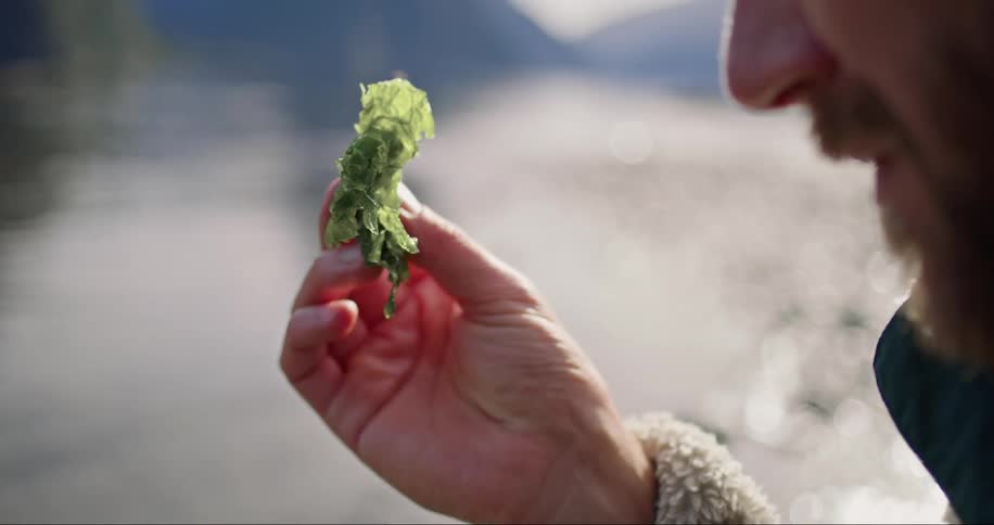 A bearded man holding a leaf of moss next to a stream
