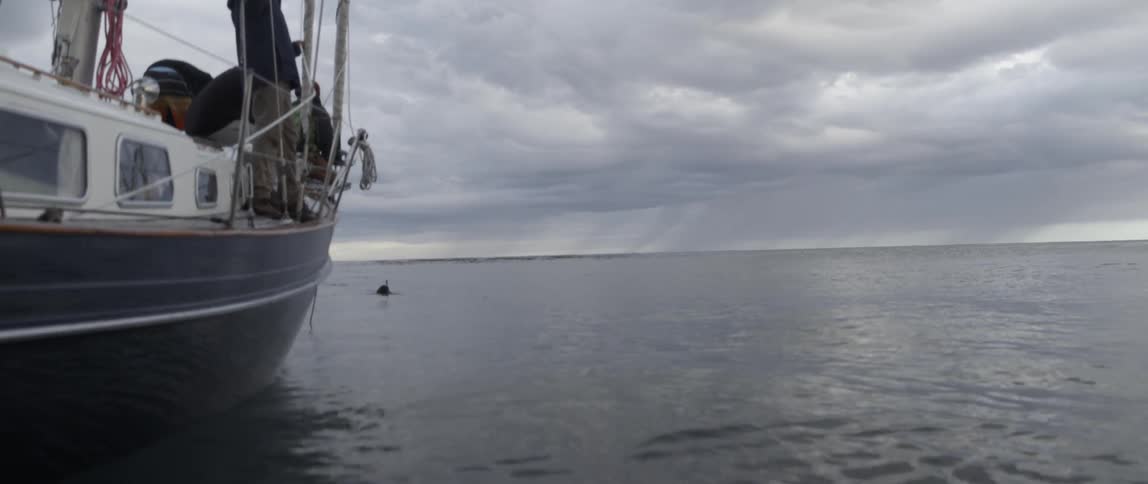 A diver is swimming in front of a large boat
