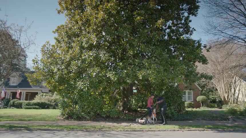 A man and a woman walking their dogs in a residential area meet each other the man pets the womans dog and they continue their walk