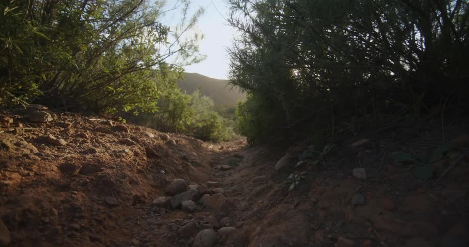 Trail with stones along the path and mountains on the horizon