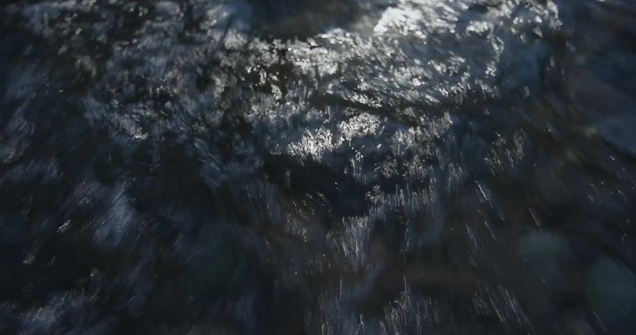 Close up of waves created on the water surface by a motor from a boat as sunlight shines on the water surface