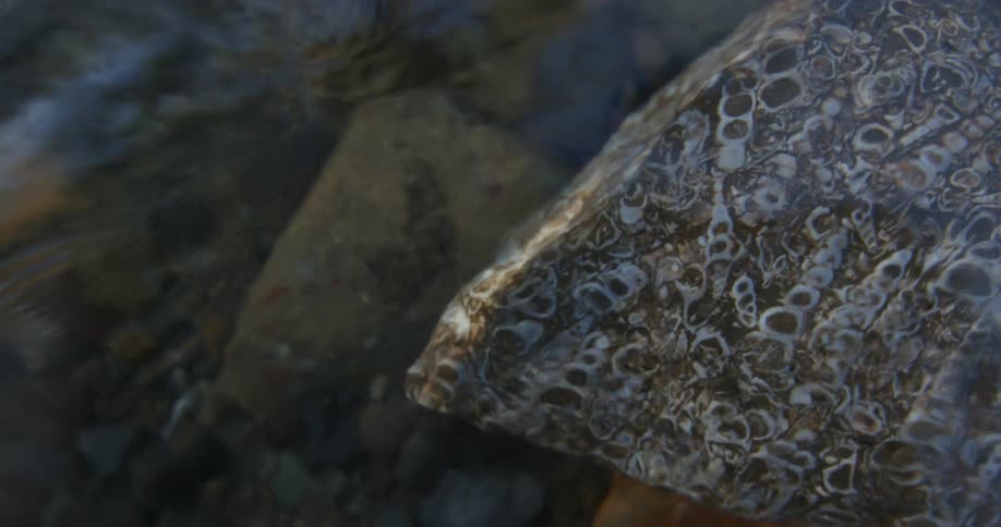 Close up of rippling water with rocks with fossils on it under the surface of the clear water
