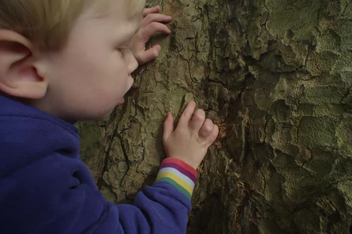 A toddler touches a tree trunk while babbling