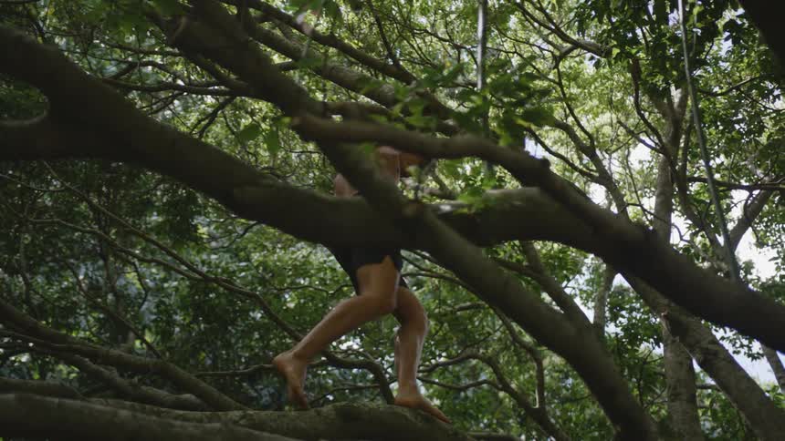 A teenage boy in a tree walks across a branch and holds a another branch as he looks down