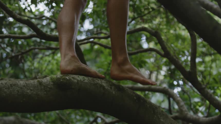 A barefoot person walks on the branch of a tree