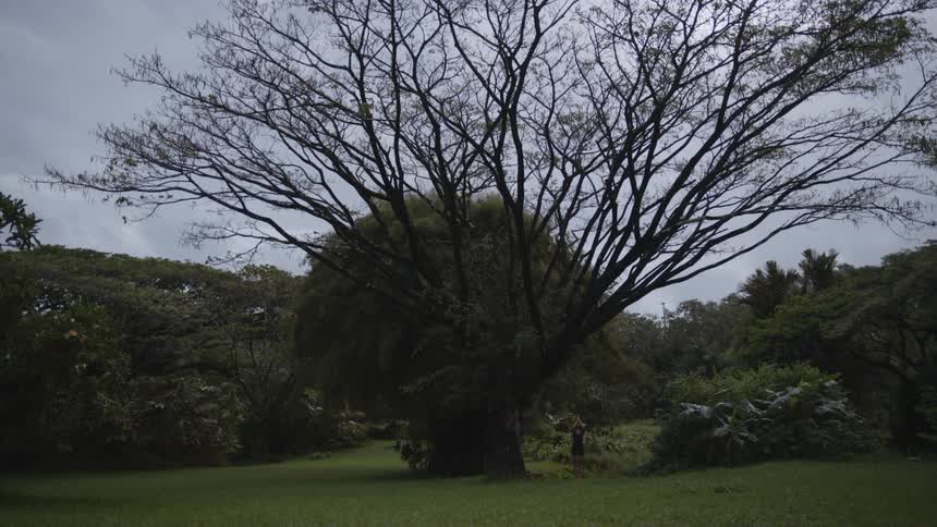 A woman exercising her body in an outdoor environment rich in vegetation