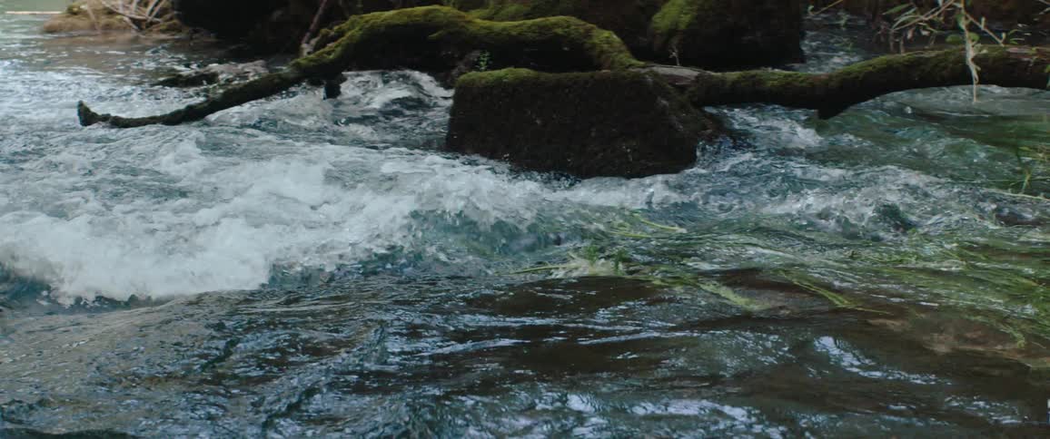 An ancient river with clear waters and mossy stones