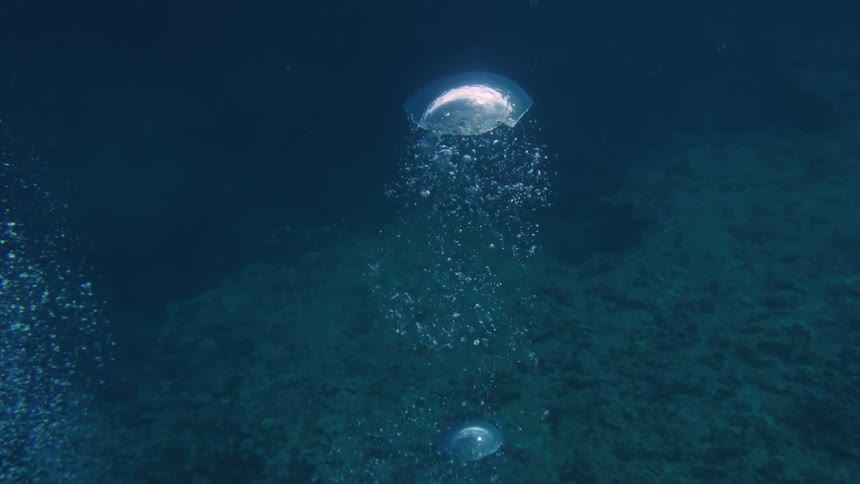 A jellyfish underwater rising from the bottom creating a trail of bubbles below
