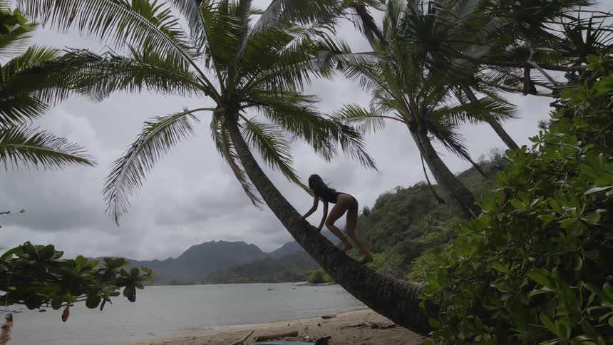 A woman climbing a palm tree located by the seaside