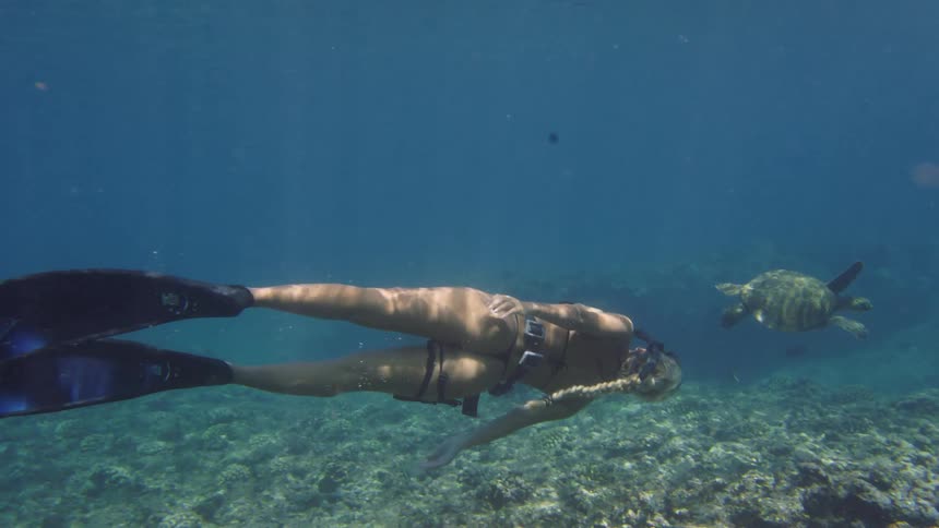Woman in a bikini and fins swims near turtle underwater