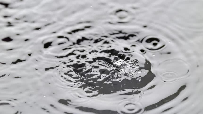 Water splash cause waves and the rise of a water droplet in the air and back into the water