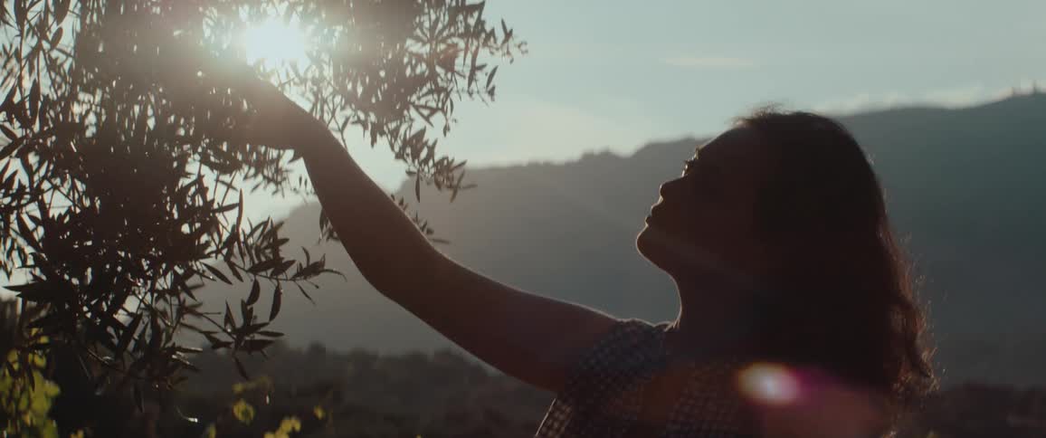 Woman in silhouette reaches for an olive tree branch on a sunny day, water drips from the leaves