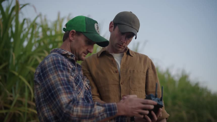 Two men check on the controls of a drone on a corn field