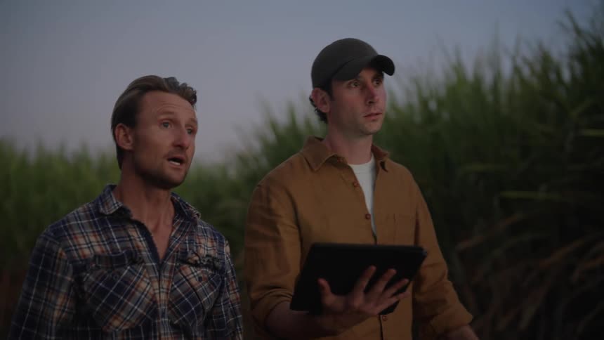 Two men are talking in a field with tall grass