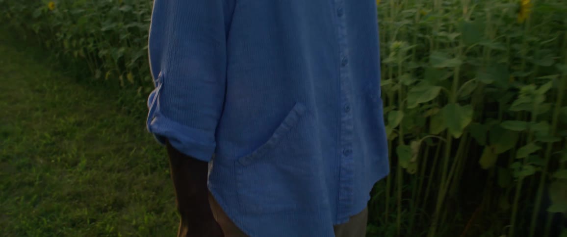 A man carrying a suitcase as he walks along a sunflower field