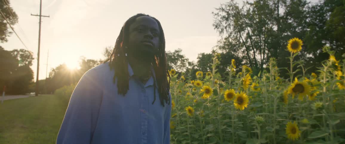A man walks with a suitcase in a garden of sunflowers