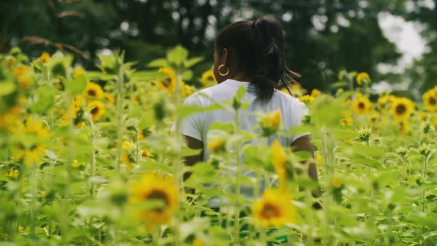 A black girl is walking through a garden of sunflowers
