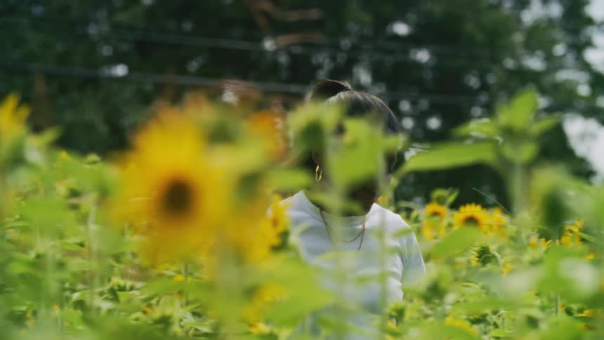 A young black woman is walking through a garden of sunflowers