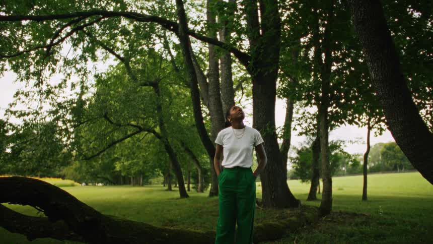 A woman is looking up at the trees