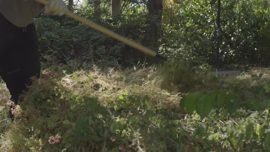 A person with a gardening tool cleans the garden