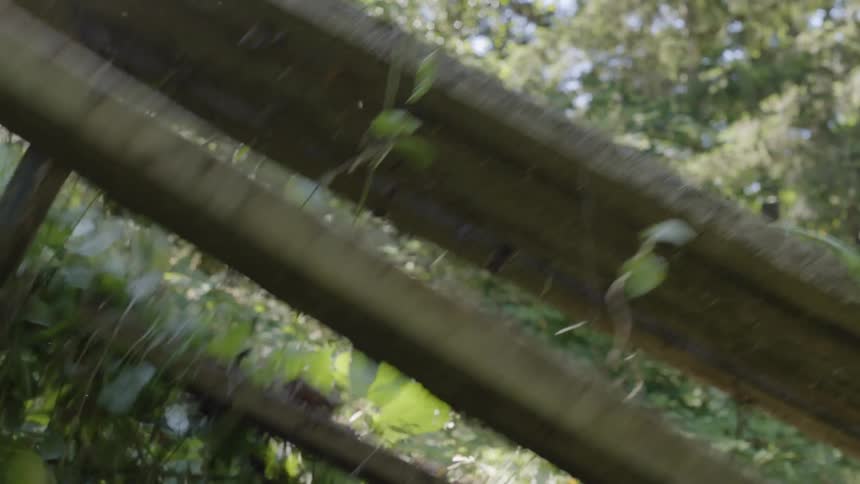 Person lifts an old bench inside the forest at daytime