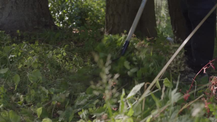 A man using a rake to clear the grass within a forested area