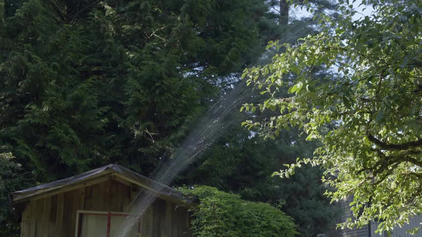 Water from sprinkler bar moves back and forth near tree in yard