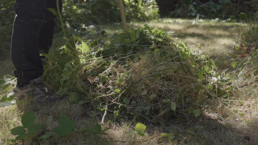 A person raking a clump of grass and leaves and taking the clump in hand