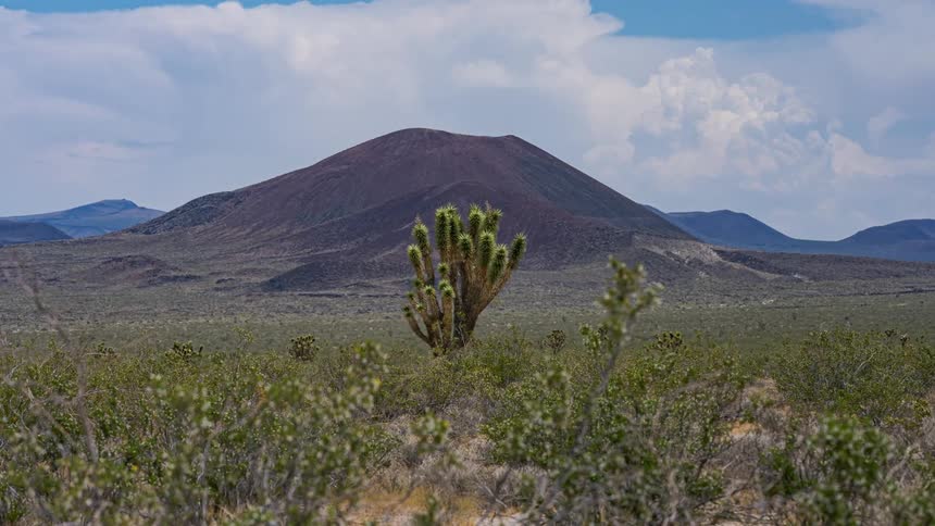 Natural area with sparse vegetation and a mountain in the background