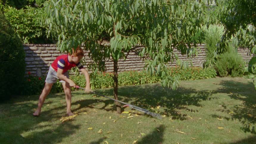 Redheaded boy rakes fallen leaves in yard
