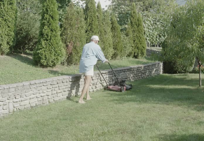 Elderly man is mowing a lawn during summer season