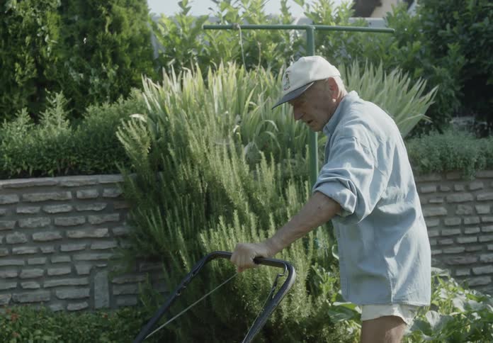 Elderly man wearing a cap pull starts a lawnmower in backyard