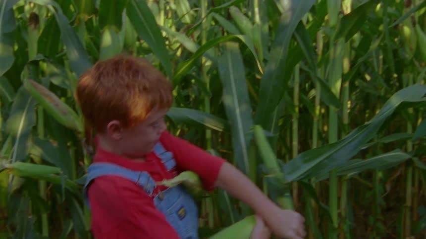 A redhaired boy taking a fruit from a plant and running towards an adult person
