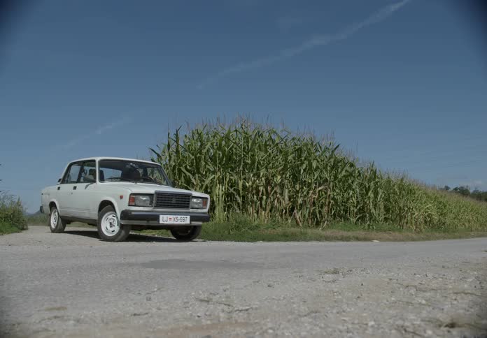 A white car slows and turns at a dirt road intersection with corn stalks blowing in the breeze