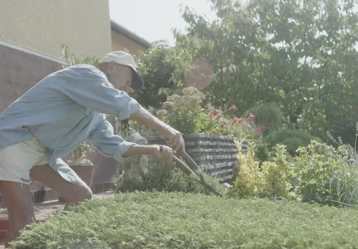 Elderly person using garden shears to trim a garden plant in a backyard