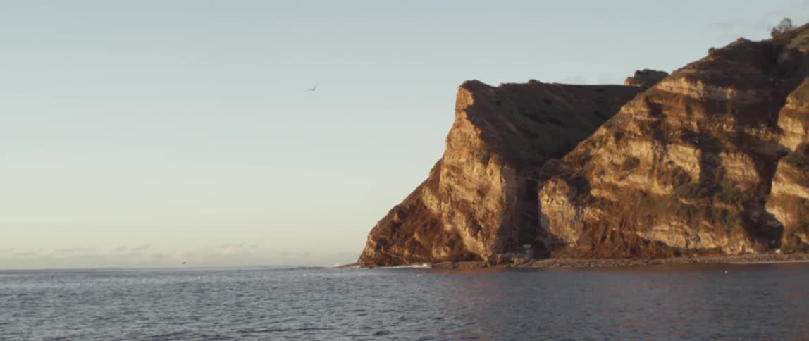 Birds fly over the water near a cliff