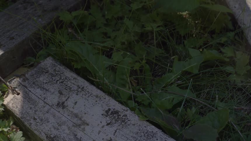 A persons gloved hand picks up a wooden plank on the grass