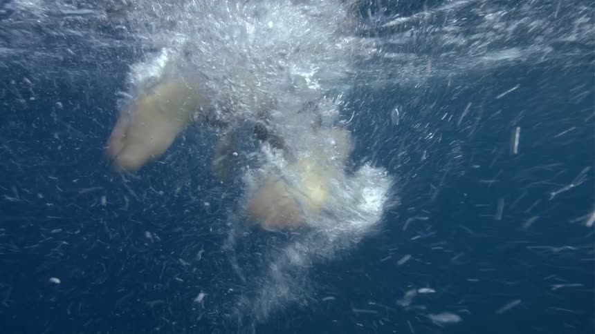 Person flapping both legs while swimming in daytime