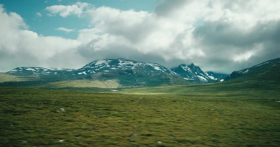 A huge field of grass and in the background a large mountain with its peak full of snow